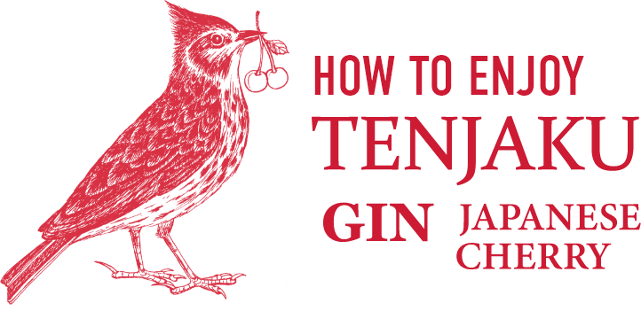 HOW TO ENJOY TENJAKU GIN
